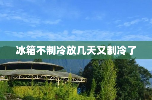 冰箱不制冷放几天又制冷了：原因与解决办法