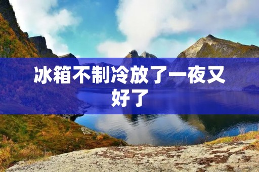 冰箱不制冷放了一夜又好了:原因分析与解决方法 冰箱不制冷放了一夜又好了:原因分析与解决方法
