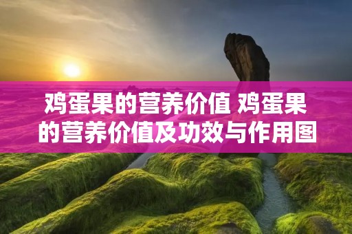鸡蛋果的营养价值 鸡蛋果的营养价值及功效与作用图片