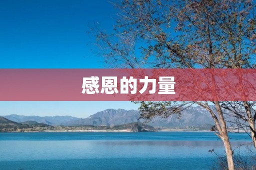 感恩的力量：100条经典语录