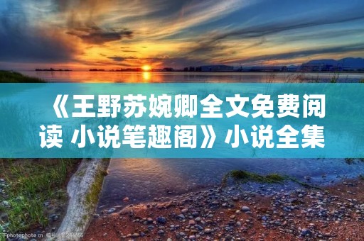 《王野苏婉卿全文免费阅读 小说笔趣阁》小说全集简介
