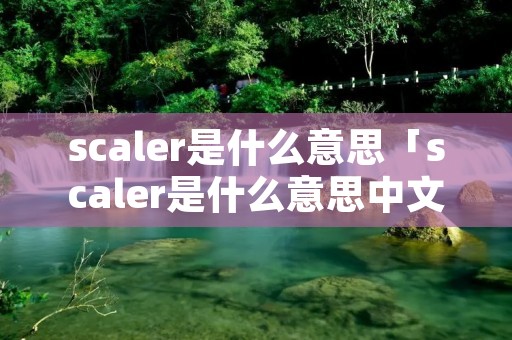 scaler是什么意思「scaler是什么意思中文翻译成」
