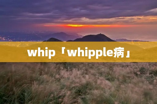 whip「whipple病」