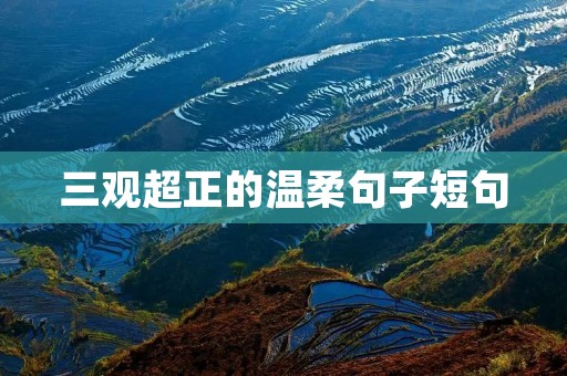 三观超正的温柔句子短句：温柔是最美的力量