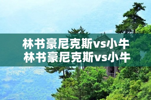 林书豪尼克斯vs小牛 林书豪尼克斯vs小牛回放