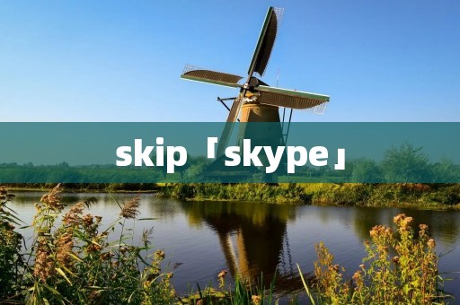 skip「skype」