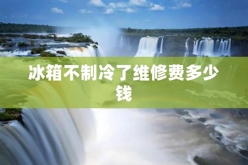 冰箱不制冷了维修费多少钱:详细解析 冰箱不制冷了维修费多少钱:详细解析