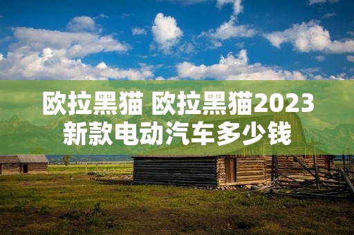 欧拉黑猫 欧拉黑猫2023新款电动汽车多少钱
