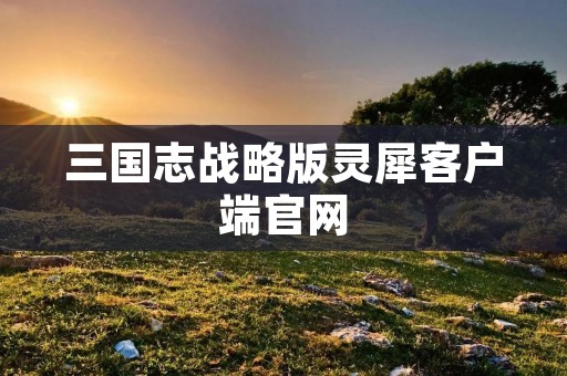 三国志战略版灵犀客户端官网:打造最真实的三国世界 三国志战略版灵犀客户端官网:打造最真实的三国世界
