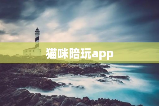 猫咪陪玩app:带您领略与猫咪共度时光的乐趣 猫咪陪玩app:带您领略与猫咪共度时光的乐趣