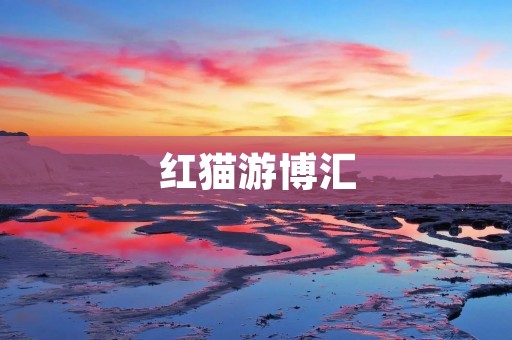 红猫游博汇：打造全新的旅游体验平台