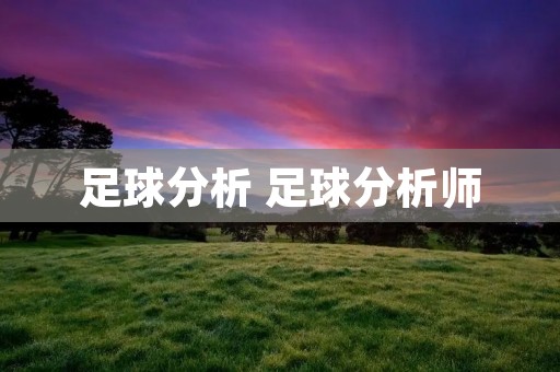 足球分析 足球分析师
