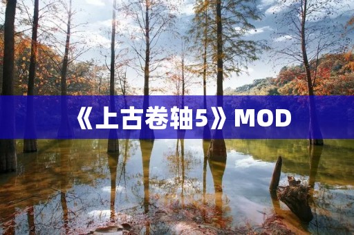 《上古卷轴5》MOD：让游戏更加精彩的改装之旅