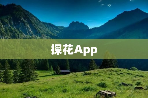探花App：让你的相亲之路更加简单高效