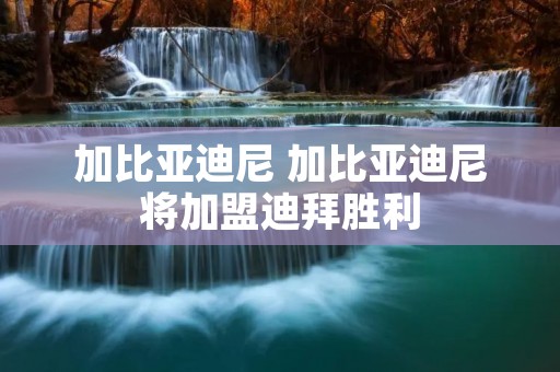 加比亚迪尼 加比亚迪尼将加盟迪拜胜利
