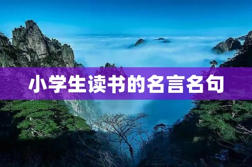 小学生读书的名言名句：引导孩子健康阅读的智慧箴言