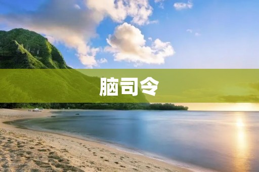 脑司令:提升思维能力的神奇训练 脑司令:提升思维能力的神奇训练