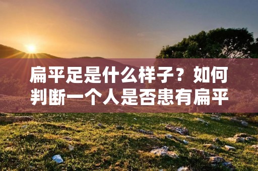 扁平足是什么样子?如何判断一个人是否患有扁平足?扁平足,也被称为扁平足症,是一种常见的足部疾病,其特征是足弓的降低或完全失去。在医学上,扁平足通常被分为两种类型:先天性扁平足和后天性扁平足。 扁平足是什么样子?如何判断一个人是否患有扁平足?扁平足,也被称为扁平足症,是一种常见的足部疾病,其特征是足弓的降低或完全失去。在医学上,扁平足通常被分为两种类型:先天性扁平足和后天性扁平足。