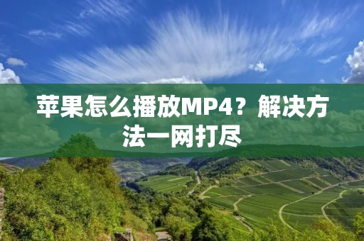 苹果怎么播放MP4？解决方法一网打尽