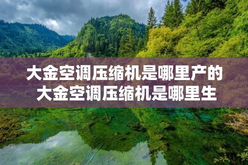 大金空调压缩机是哪里产的 大金空调压缩机是哪里生产的