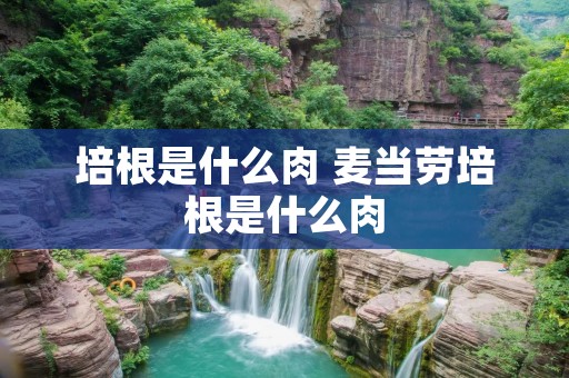 培根是什么肉 麦当劳培根是什么肉