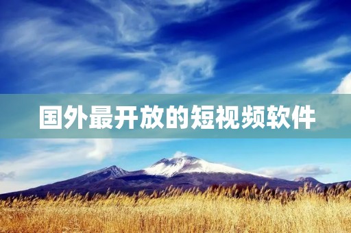 国外最开放的短视频软件:探索全球创意与多元文化的视觉盛宴