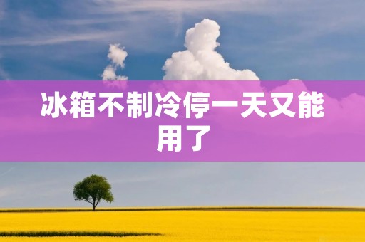 冰箱不制冷停一天又能用了：原因和解决方法