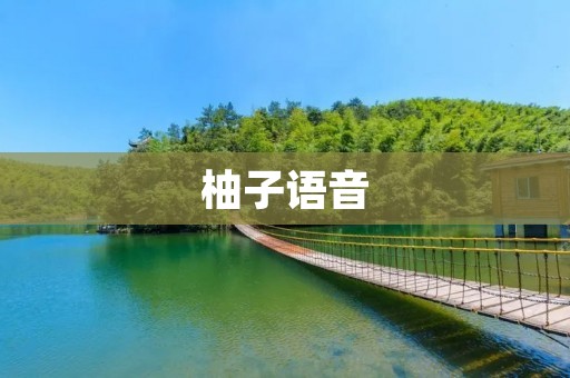 柚子语音:打开智能生活的新篇章 柚子语音:打开智能生活的新篇章