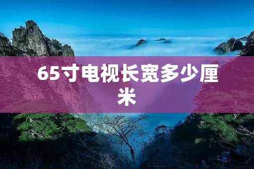 65寸电视长宽多少厘米：详细解析