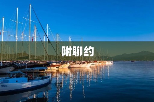 附聊约：拓宽社交圈子，寻找有趣的陌生人