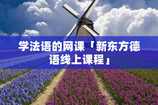 学法语的网课「新东方德语线上课程」