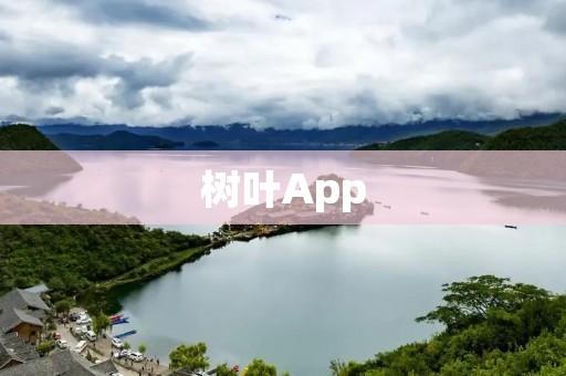 树叶App:连接大自然,探索植物世界的神奇之旅 树叶App:连接大自然,探索植物世界的神奇之旅