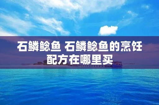 石鳞鲶鱼 石鳞鲶鱼的烹饪配方在哪里买