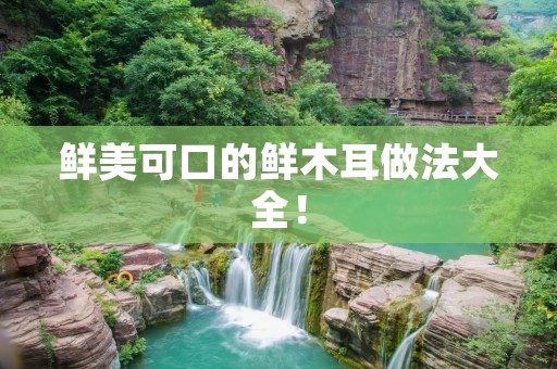 鲜美可口的鲜木耳做法大全！