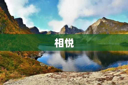 相悦：寻找真爱的专业婚恋交友平台