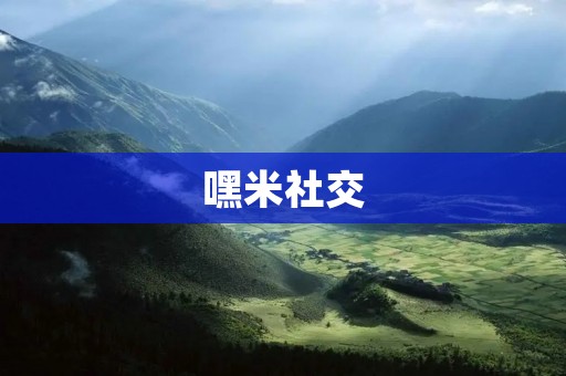 嘿米社交：连接你我，创造无限可能