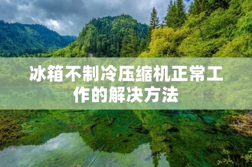 冰箱不制冷压缩机正常工作的解决方法