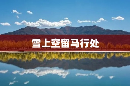 雪上空留马行处:一场寻找失落的勇气之旅