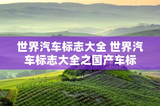 世界汽车标志大全 世界汽车标志大全之国产车标