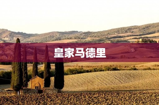 皇家马德里：传承百年辉煌的足球传奇
