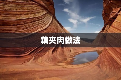 藕夹肉做法:美味佳肴的制作秘籍 藕夹肉做法:美味佳肴的制作秘籍