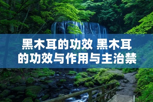 黑木耳的功效 黑木耳的功效与作用与主治禁忌
