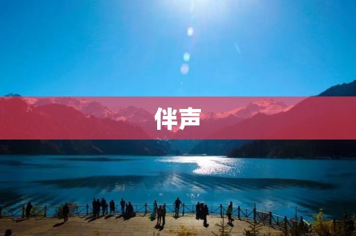 伴声:感受音乐的陪伴与力量 伴声:感受音乐的陪伴与力量