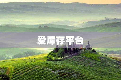 爱库存平台:让库存变得更有价值 爱库存平台:让库存变得更有价值