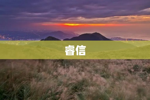睿信：数字资产交易平台的首选