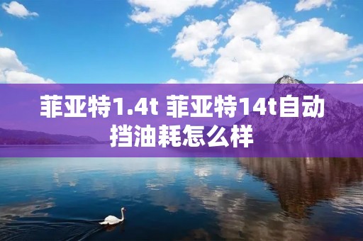 菲亚特1.4t 菲亚特14t自动挡油耗怎么样