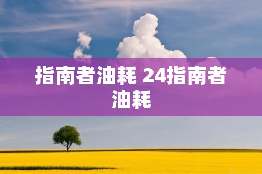 指南者油耗 24指南者油耗