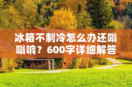 冰箱不制冷怎么办还嗡嗡响？600字详细解答