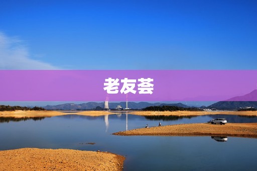 老友荟:老年人家庭社交平台 老友荟:老年人家庭社交平台