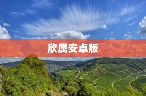 欣属安卓版：打造专属于你的个性化Android体验